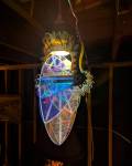 IMG_20241216_145725_790